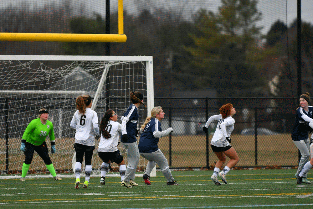 IMG_20241215_214041-ANIMATION