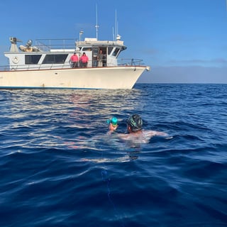 MicrosoftTeams-image