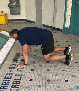 dryland 2 (1) (1) (1)